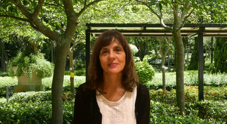 Dr.ª Alexandra Cerveira Lima, diretora do Museu de Arqueologia D. Diogo de Sousa