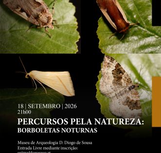 Percursos pela Natureza: Borboletas Noturnas
