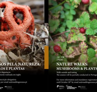 Percursos pela Natureza: Cogumelos e Plantas